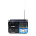 Caixa de Som receptor de radiodifusão D-F10 Grasep