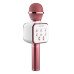 Microfone Sem Fio Karaoke Wireless DS878