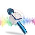 Microfone Sem Fio Karaoke Wireless DS878