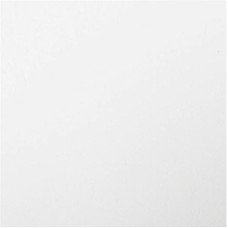 Placa de EVA Lisa 400X48mm Branco